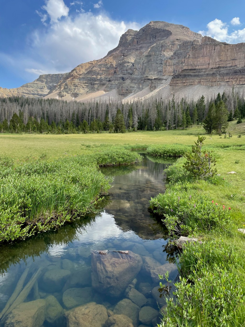 Selecting the Right Mediator: A Guide to Successful Conflict&nbsp;Resolution